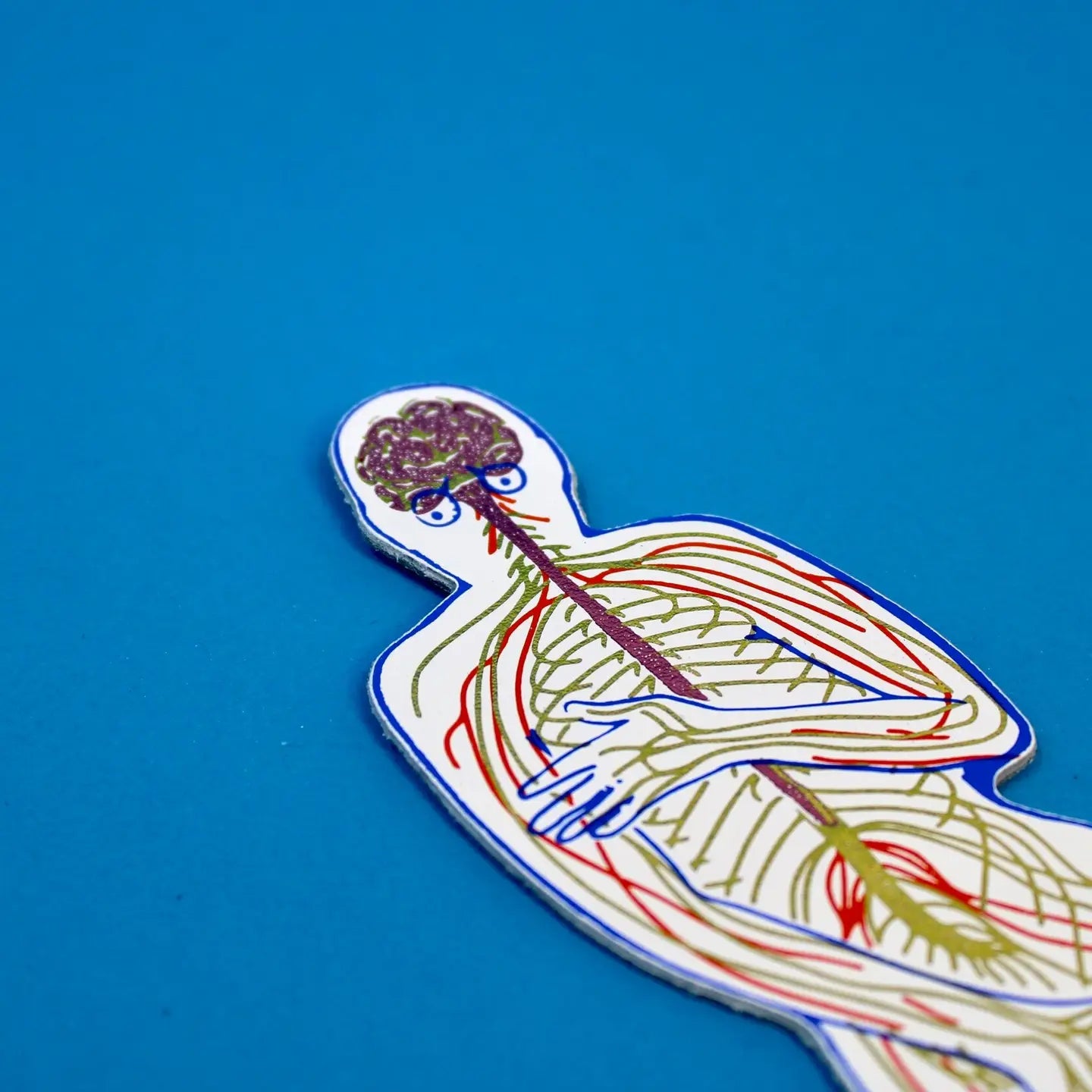 Close-up of a white nervous system-shaped bookmark showing the brain and nerve pathways through the upper body, on a blue background.