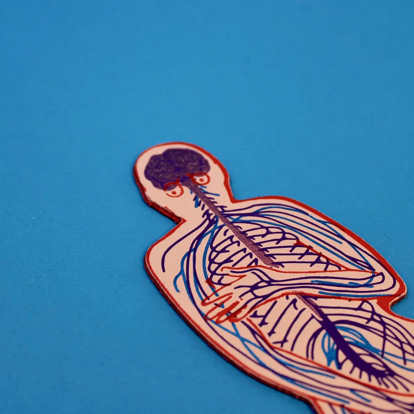 Close-up of a pink nervous system-shaped bookmark showing the brain and nerve pathways through the upper body, on a blue background.