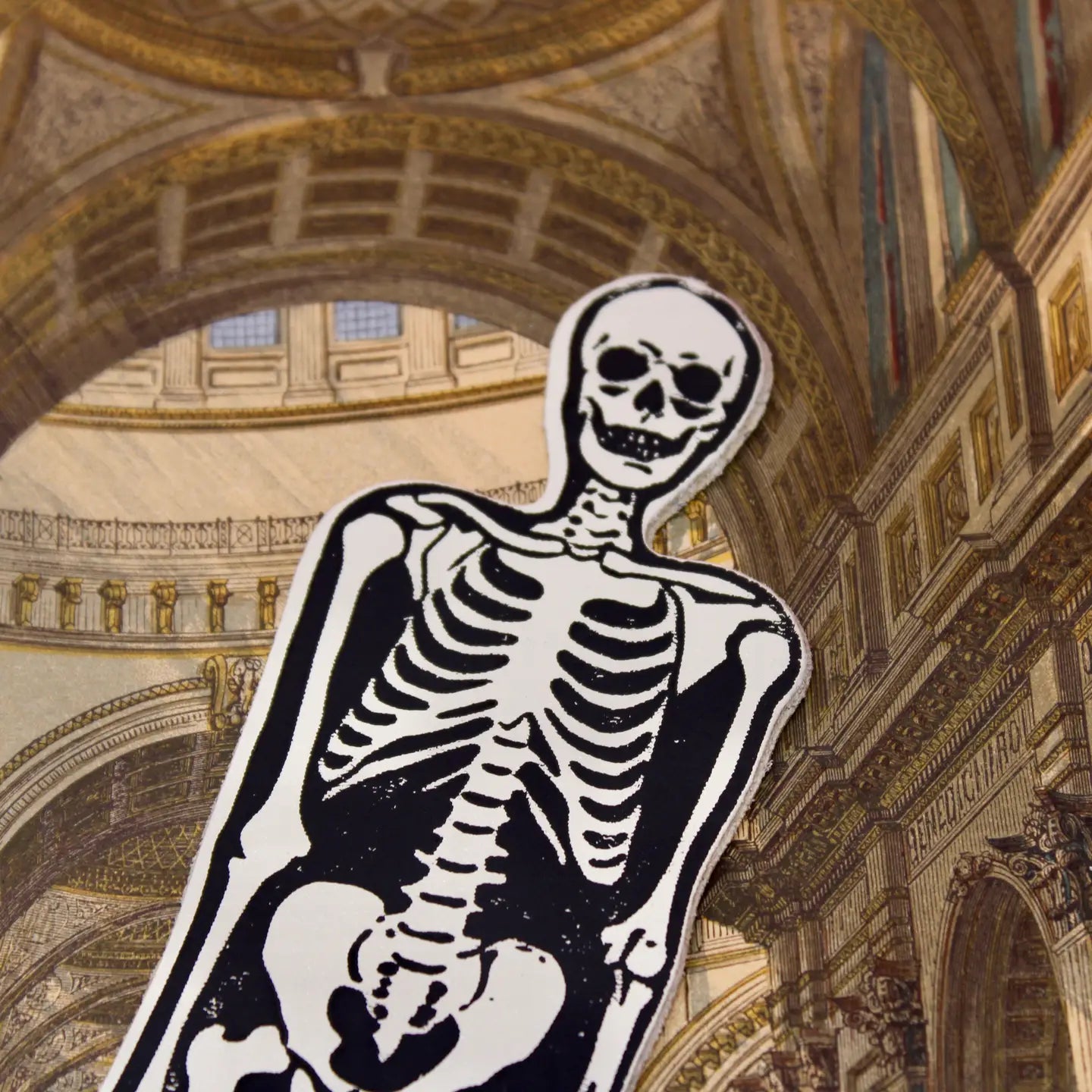 Ark Colour Design skeleton bookmark in cream and black, shown with a vintage architectural print background.