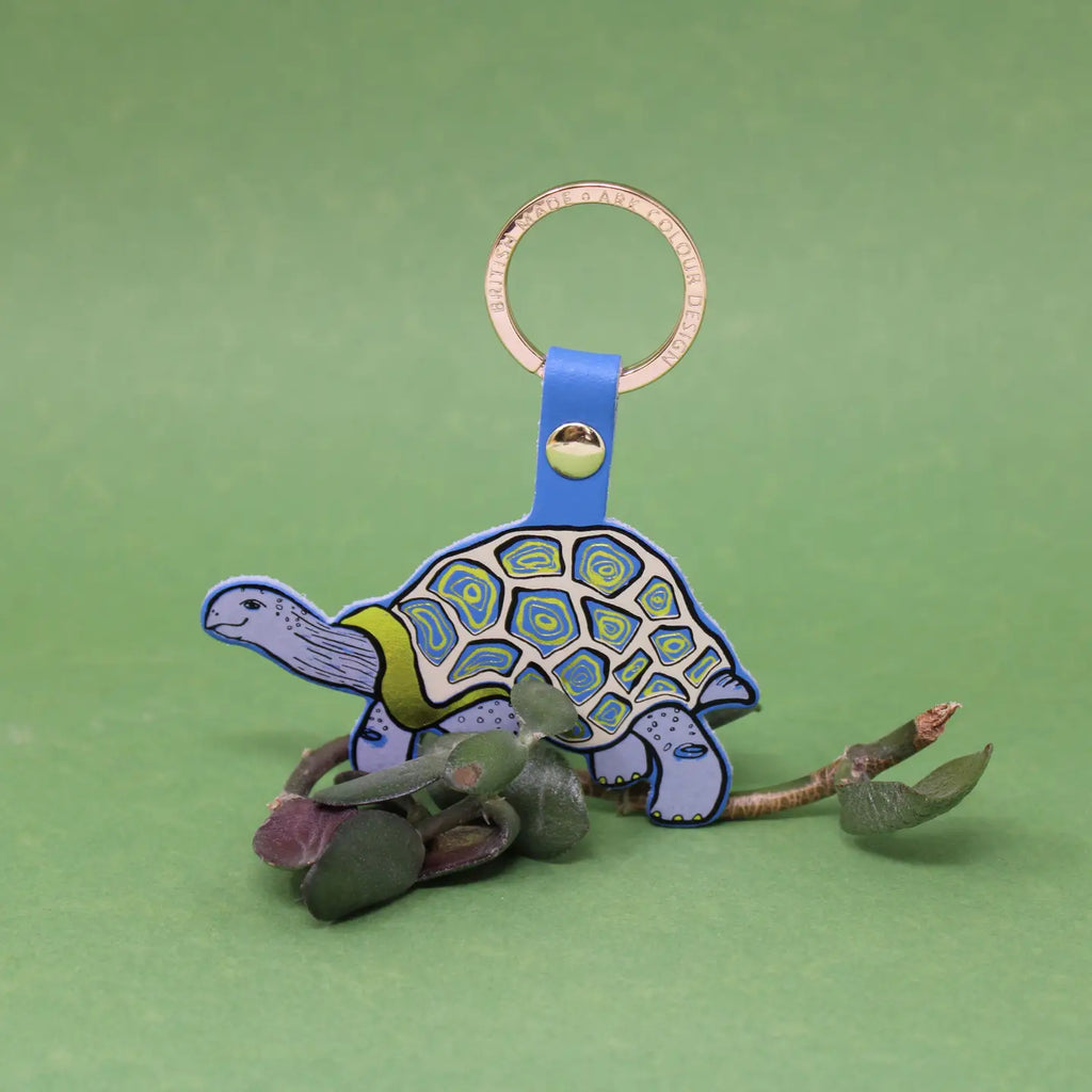 Ark Colour Design tortoise keychain with blue strap, gold ring, and colorful illustrated turtle design.