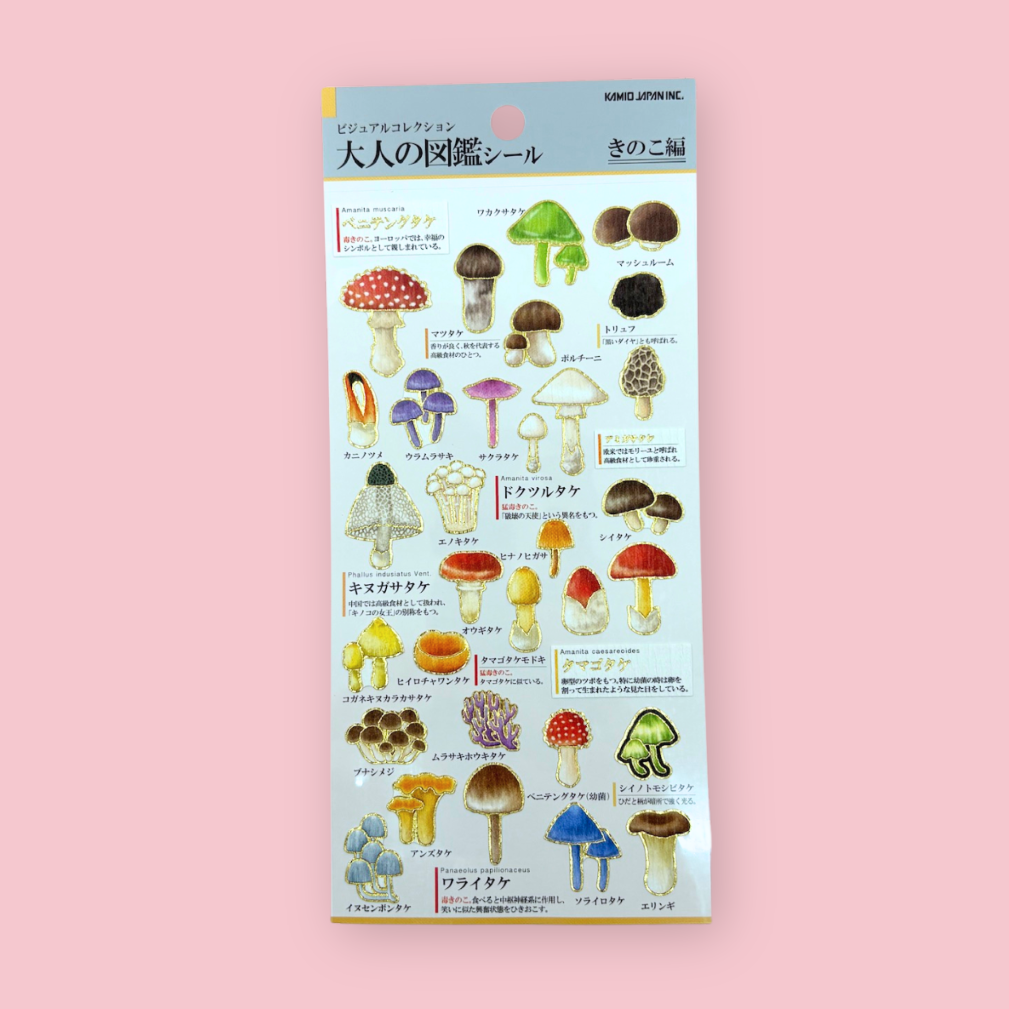 Japanese mushroom sticker sheet, shown against a pink background.